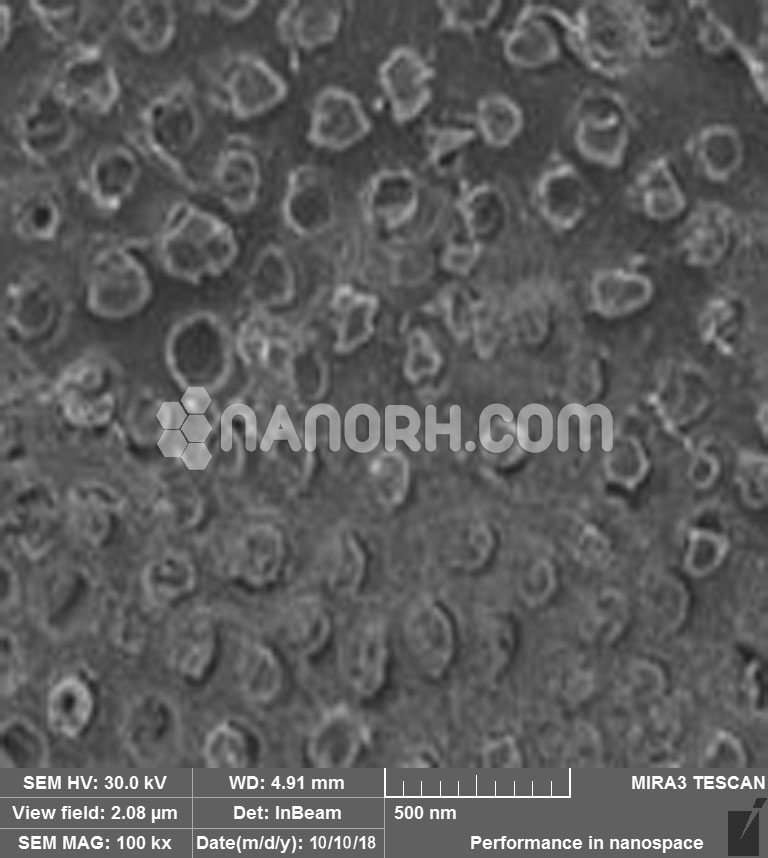 Sodium Fluoride Nanoparticles