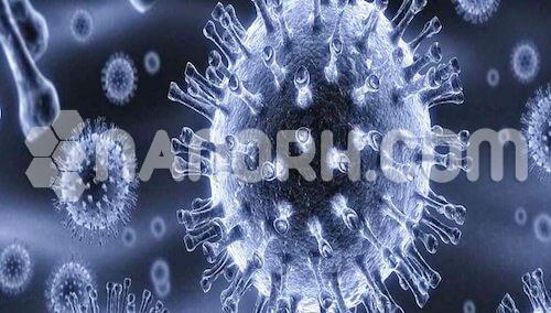 Nano Particles & NanoMaterial