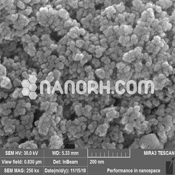 Neodymium Doped Yttrium Aluminum Garnet Nanoparticles