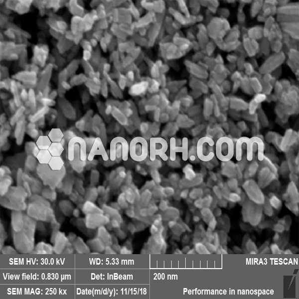 Praseodymium Doped Yttrium Aluminum Garnet Nanoparticles
