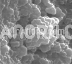 Calcium fluoride nanoparticles