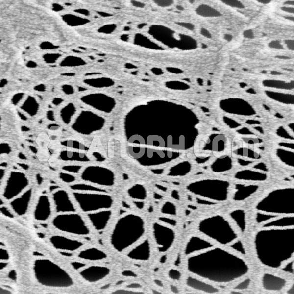 Cellulose Nanofiber Cellulose Nanofiber